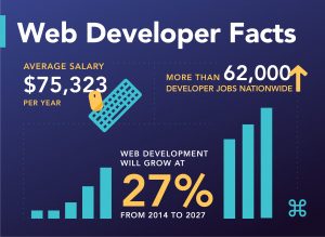 Web Developer Facts